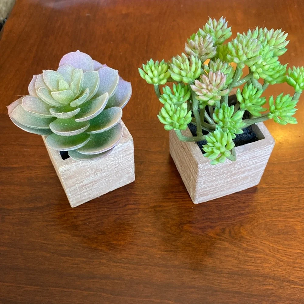Faux Succulents set of two. EUC